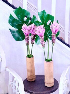 Siam Tulip in Bamboo